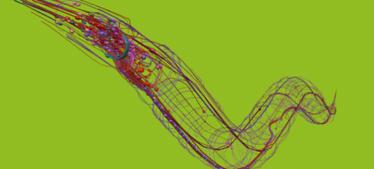 C. elegans 3D Interactive Connectome. (Photo:OpenWorm)